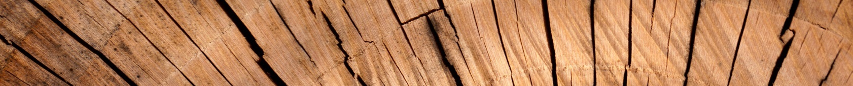 Header image representing the corporate design